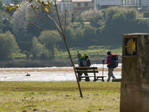 Camiño Inglés no Concello de Narón