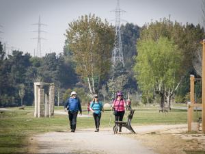 Camiño Inglés ao seu paso polo Paseo de Xubia