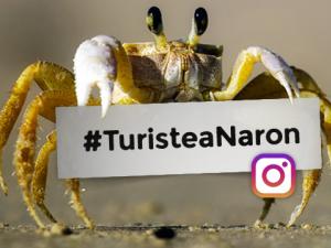 #TuristeaNaron