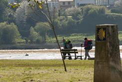 Camiño Inglés no Concello de Narón Camiño Inglés no Concello de Narón