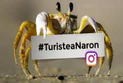 #TuristeaNaron